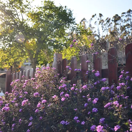 Casa Antiga Do Monte Padrón